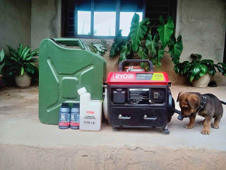 Ryobi Generator RG950 Set