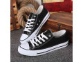 canivers-for-sale-small-1