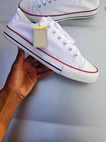 canivers-for-sale-big-0