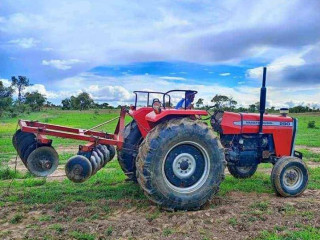 MASSEY FERGUSON (MF290) TRACTOR