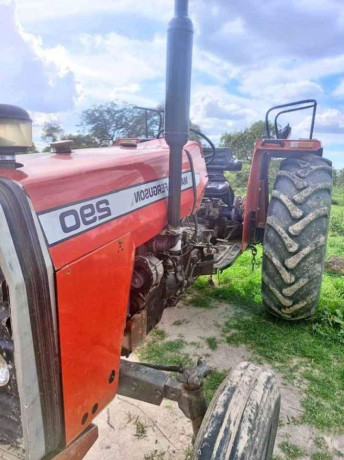 massey-ferguson-mf290-tractor-big-1