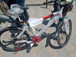 Bicycle for sale