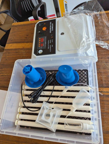 34-and-24-egg-capacity-iincubator-for-sale-big-0