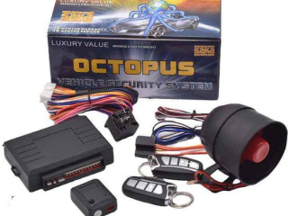 Vehicle security alarm system