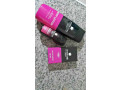 arthur-fold-perfumes-and-rollo-small-1